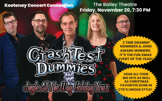 Crash Test Dummies