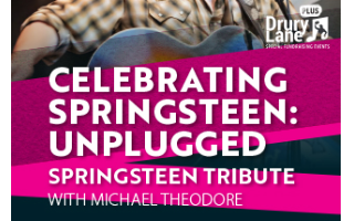 Celebrating Springsteen: Unplugged