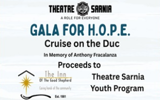 TS's Gala for H.O.P.E.