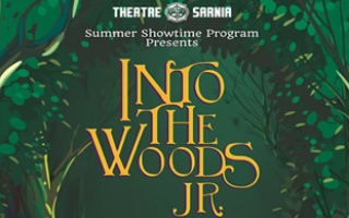Into the Woods Jr